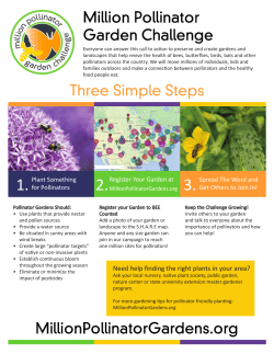 and customize this educational 1-pager!