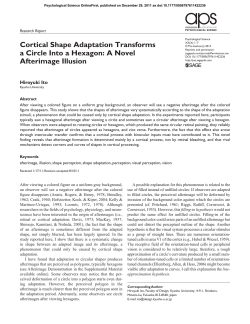 Cortical Shape Adaptation Transforms a Circle Into a Hexagon: A