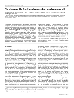 The tetraspanin D6.1A and its molecular partners on rat carcinoma
