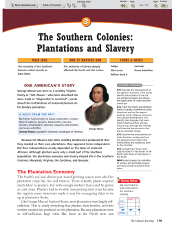 The Southern Colonies: Plantations and Slavery