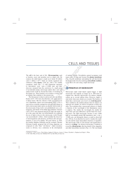 copyrighted material - Beck-Shop