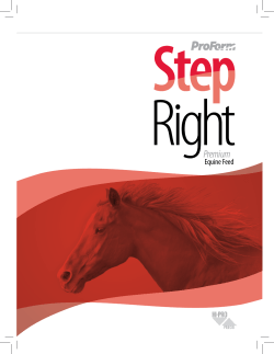Premium Equine Feed