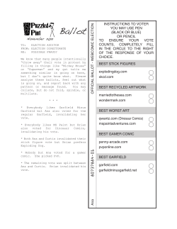 Ballot - Puzzled Pint