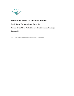 Jellies in the ocean: Are they truly drifters?