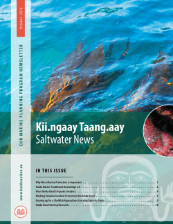 Kii.ngaay Taang.aay - Council of the Haida Nation