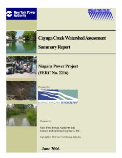 Cayuga Ck Watershed Assessment