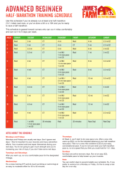 Advanced Beginner`s Training Guide