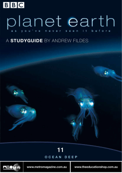 a studyguide by andrew fildes