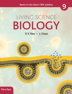 Cell : The Structural and Functional Unit of Life