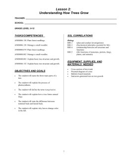 Lesson 2: Understanding How Trees Grow