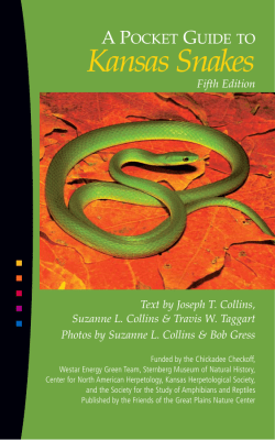50906 KS Snakes_50906 KS Snakes