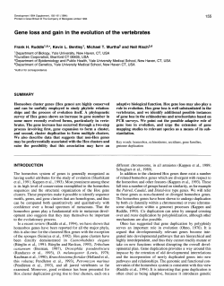 Gene loss and gainin the evolution of the vertebrates