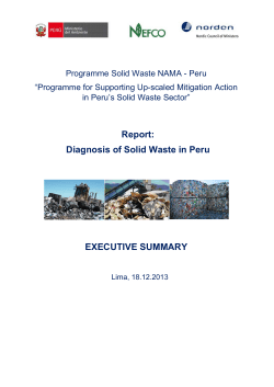 Solid waste diagnosis - Executive summary