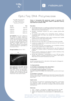 OptiTaq DNA Polymerase