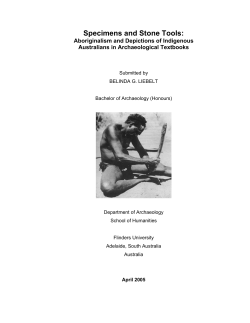 Specimens and Stone Tools