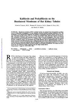 Print - Hypertension