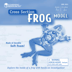 1921 Crs Sec Frog GUD v2