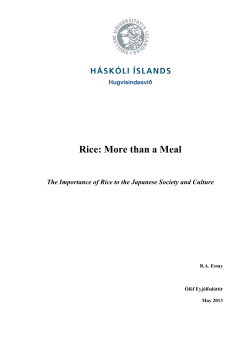 Rice: More than a Meal