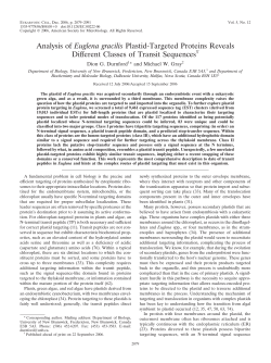 Analysis of Euglena gracilis Plastid-Targeted Proteins