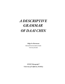 A Descriptive Grammar of Daai Chin - STEDT