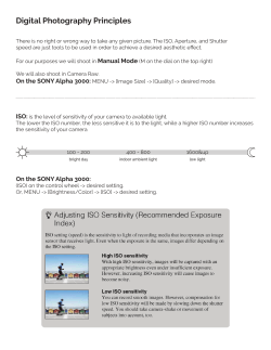 Digital Photography Principles