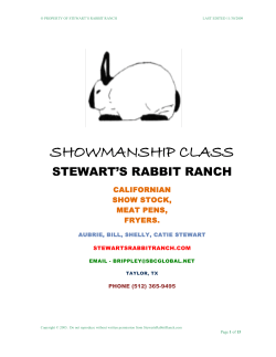 Rabbit Showmanship