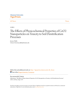 The Effects of Physicochemical Properties of CeO2