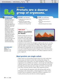 Protists are a diverse group of organisms.