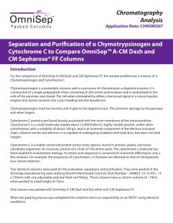 Chromatography Analysis Separation and Purification