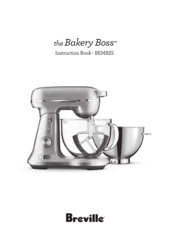 the Bakery Boss