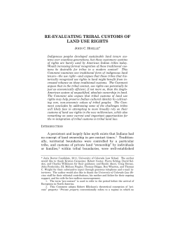 re-evaluating tribal customs of land use rights