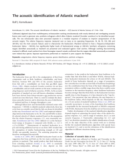 The acoustic identification of Atlantic mackerel