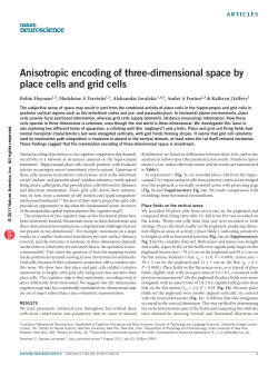 Anisotropic encoding of three-dimensional space by place