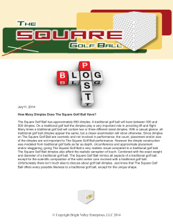 July 11, 2014 - Bright Valley Enterprises