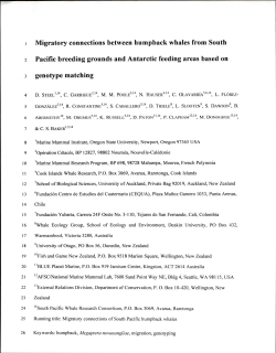 Neat Document