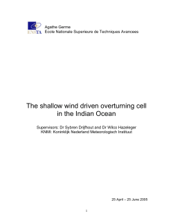 The shallow wind driven overturning cell in the Indian Ocean