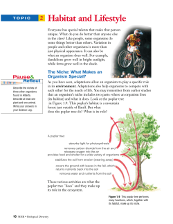 Unit 1 Topic 2 - Holy Cross Collegiate