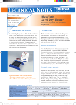 Technical Notes - SERVA Electrophoresis GmbH