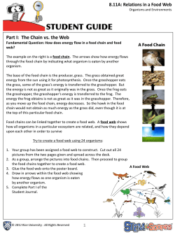 Part I: The Chain vs. the Web