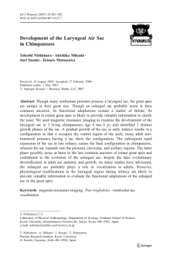 Development of the Laryngeal Air Sac in Chimpanzees