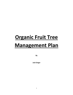 Organic Fruit Tree Management Plan