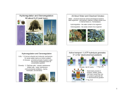 Hydroregulation and Osmoregulation