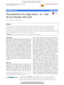 The phantoms of a high-seven - or - why do our