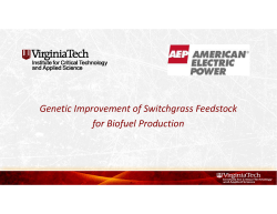 Genetic Improvement of Switchgrass Feedstock for Biofuel Production