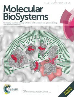 Molecular recognition features (MoRFs) in three domains of life