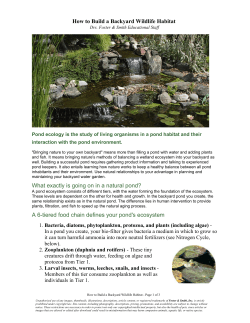 Pond ecology is the study of living organisms in a pond