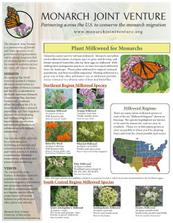 Milkweed Fact Sheet - The Monarch Joint Venture