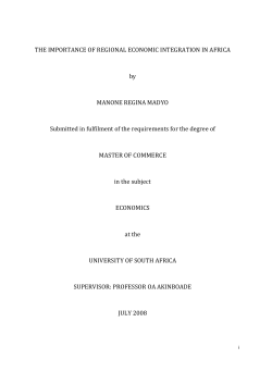 The importance of Regional Economic Integration in Africa