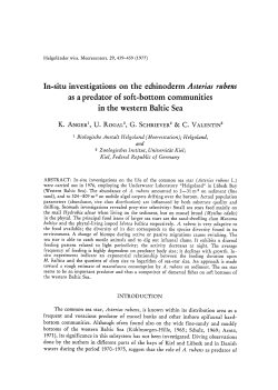 In-situ investigations on the echinoderm <Emphasis Type="Italic