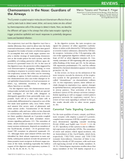 Chemosensors in the Nose: Guardians of the Airways